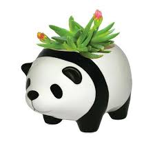 Scarlett Escobedo Adli Kullanicinin Panda Panosundaki Pin Pandalar Panda