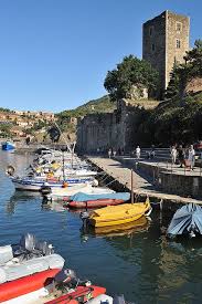 Castillo De Collioure France Travel French Castles Visit France