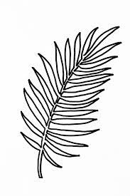 compartilhado com o dropbox leaf template printable stencil 
