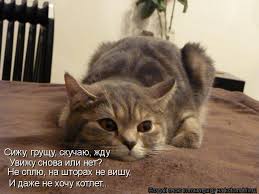 Image result for ��� ���� ����