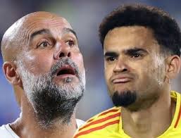 Canciones con las que Diomedes Díaz le hizo homenaje a su 'Mamá Vila': "se  ponía triste"