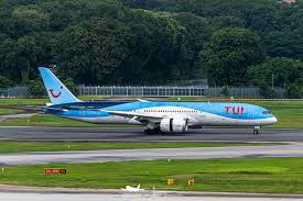 Image result for Tan 2023 Fleet