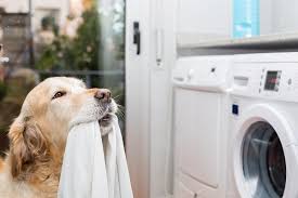 Formulated with 3x the pet hair & lint fighters compared to standard bounce dryer sheets. 5 Best Ways To Get Pet Hair Out Of Laundry Aviv Service Today