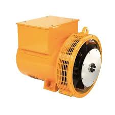 Image result for Isonema