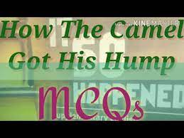 Complete your work on time because being lazy never pays. Ch 1 How The Camel Got His Hump Ex Mcqs Viii Th English It So Happened Youtube