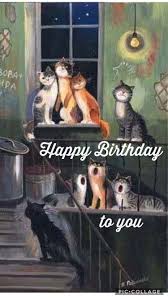 Van Harte Jettie Alles Gute Zum Geburtstag Karten Katzen Geburtstag Seltsame Katzen