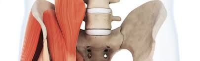 Sacroiliac pain can mimic or occur along with other conditions, such as a herniated disc or hip problem. Tight Hip Flexor Pain Help Low Back Pain Program