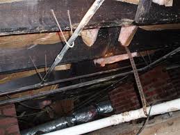 There are a wide range of dehumidifiers out related articles. How To Get Rid Of Creosote Smell In Basements And Crawl Spaces