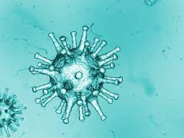 Influenza virus bird flu virus mortality rate national institutes of health national health genetics at least image life science. Bird Flu Virus Found To Be Highly Pathogenic News Chemistryviews