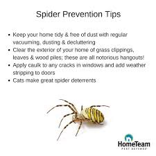Spider Prevention Spider Prevention Prevention Spider
