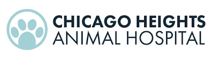 At the clinic our state licensed veterinarians and professional staff will ask you a few questions about your pet's lifestyle. Veterinarians In Chicago Heights Chicago Heights Animal Hospital