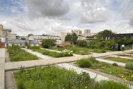 10 essential rooftop garden ideas & tips. Rooftop Garden Keyword Search Science Photo Library