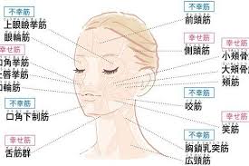顔の筋肉には 顔を引き上げる 幸せ筋 と たるませる 不幸筋 があり このふたつをケアすることが効率よくたるみを改善する近道 その方法を解説 幸せ筋を鍛え 不幸筋の筋膜を はがせば顔は引き上 筋膜 顔のたるみ 顔ヨガ