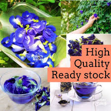 Masa untuk ekstrak ini bertindak bergantung kepada kepekatan ekstrak di mana semakin tinggi ekstrak, semakin kurang masa yang diambil ole. Bunga Telang Butterfly Pea Tea Teh Biru Teh Warna Biru Bunga Telang Kualitas Super 10gr Shopee Indonesia