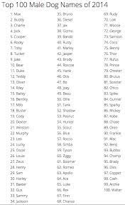 Great Male Puppy Names Online Shopping