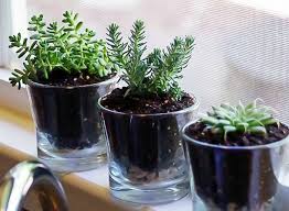How to plant a succulent garden in a pot. 29 Cutest Planter Ideas For Succulents Learn To Create Beautiful Things
