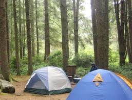 We did not find results for: State Parks In Thousand Islands St Lawrence River Discover Upstate Ny Com