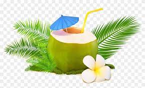 1,185 transparent png illustrations and cipart matching coconut water. Trendy Coconut Coconut Water Hd Png Download 2801x1565 3002152 Pngfind