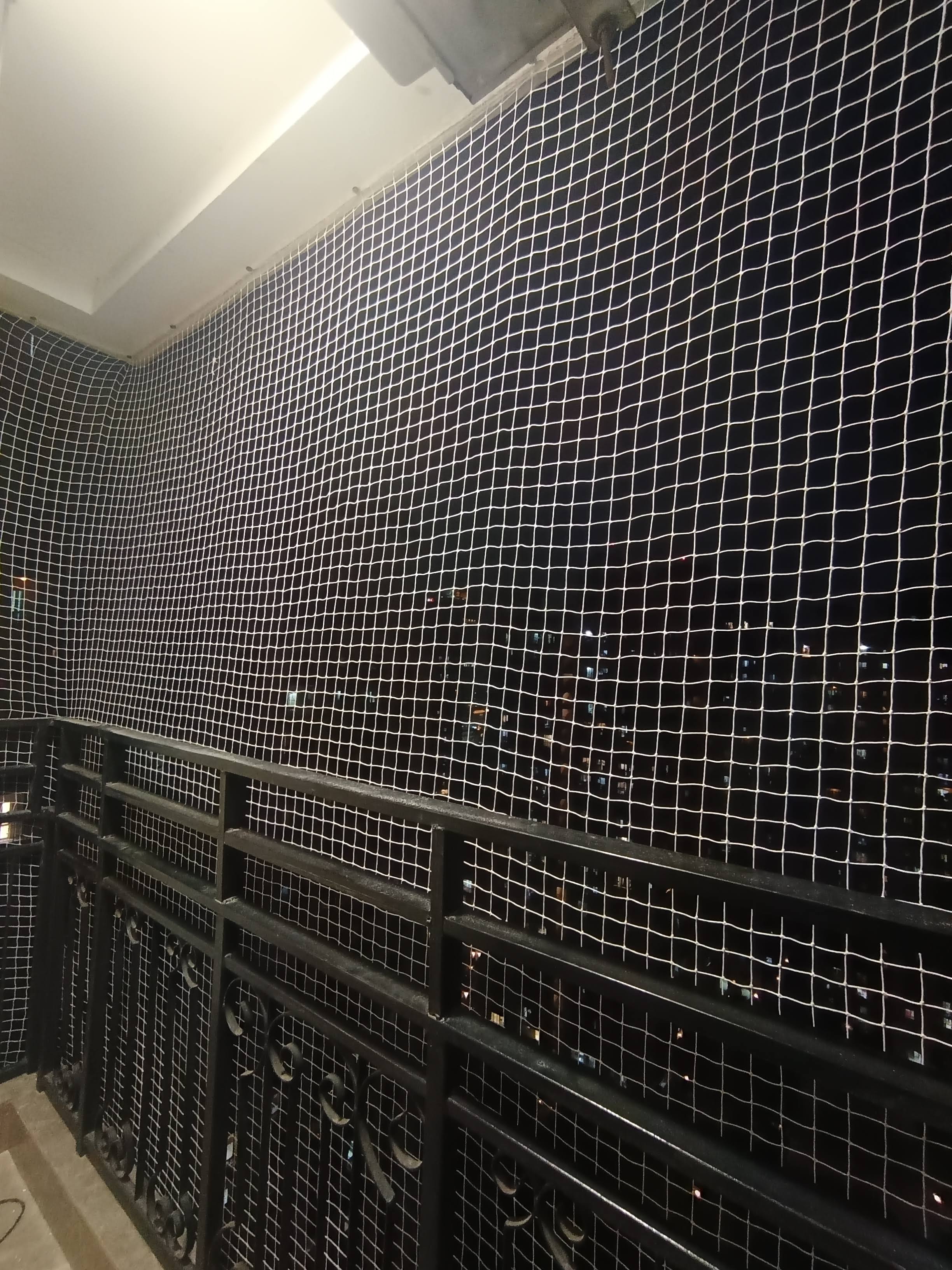 Bird Spike Installation product image