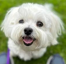 Bernice Gordon (@blgord) • Instagram photos and videos