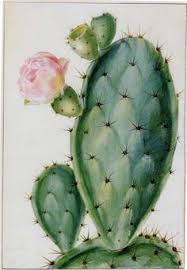 Ilustración conjunto de cactus dibujados a mano y plantas suculentas que crecen en lindas pequeñas ollas. 150 Ideas De Dibujos De Cactus Dibujos Cactus Dibujo Cactus