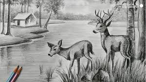 Black And White Beautiful Scenery Drawing How To Draw Deer With Pencil Sketch Scenery How To Draw Forest Scenery Step By Step Animals Dr Drawing Scenery Landscape Pencil Drawings Scenery Drawing Pencil