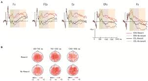 Frontiers | The Effects of Reward on Associative Memory Depend on  Unitization Depths