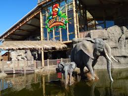 Abenteuer Dschungelland Abenteuer Tagesausflug Ausflug