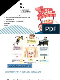 Air leri atau air cucian beras. Nota Sains Tingkatan 1 Kssm Bab 3 Homeostasis Kawalatur Suhu