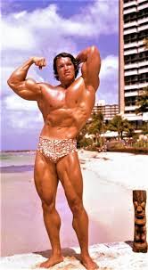 Universe title to polished and defined frank zane, some 60 pounds lighter. Arnold Schwarzenegger Austria 30 July 1947 Usa Height 6 Foot 2 188 Cm Mr Olympia Olympia Fitness Arnold Schwarzenegger