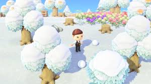 Perfect Snowboy : R/Animalcrossing