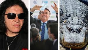 Brazilian president's remarks trigger memes. Gene Simmons Kiss Se Irrita Com Declaracao De Bolsonaro Sobre Vacina