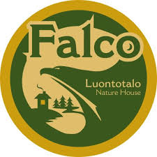 Villa Falco Espoo Updated 2021 Prices
