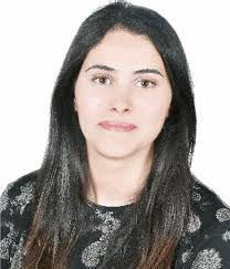 Full article: An elitist cooperative evolutionary bi-level multi-objective  decomposition-based algorithm for sustainable supply chain