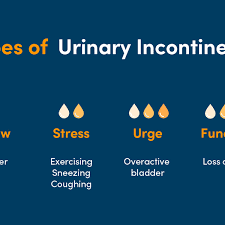 Image result for Three Incontinence Questions