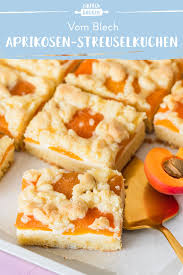 Aprikosen Schmand Kuchen Vom Blech Die Besten Backrezepte Mit Gelinggarantie Rezept Aprikosen Blechkuchen Aprikosenkuchen Mit Streusel Einfach Backen