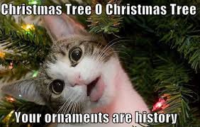 Maybe you would like to learn more about one of these? 20 Of The Best Christmas Memes Gifs On The Internet Christmas Tree World