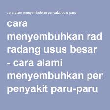 Cara Menyembuhkan Radang Usus Besar Paru Paru Penyembuhan Penyakit