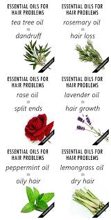 While ylang ylang oil can help balance scalp oils. Essential Oils For Healthy Scalp And Hair Essential Oil Hair Growth Hair Loss Essential Oils Essential Oils For Hair