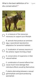 Means the place or type of site where an organism or population naturally occurs. What Is The Best Definition Of In 1 Point Situ Chegg Com