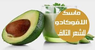 طريقة عمل ماسك الافوكادو للشعر الجاف والمتقصف المكونات الطبيعية مثل الافوكادو ترطب أعمدة الشعر من ال Avocado Hair Avocado Hair
