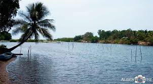 Resultado de imagen de platillos tipicos de pijijiapan