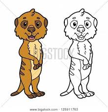 Cute sitting meerkat coloring page. Educational Kids Vector Photo Free Trial Bigstock