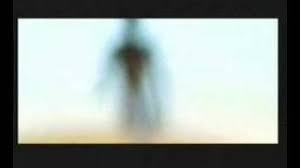 خالد الراشد غضب الرحمن ويكي عربيتا