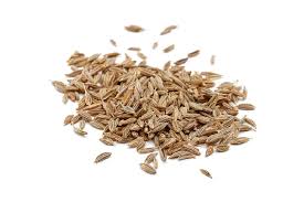 Cumin is available as both whole seeds and ground powder and both are used in recipes. Cumin Seeds In Malay Cumin Seeds About Nutrition Data Photos Where Found Cumin Is The Seed Of A Small Umbelliferous Plant Syifaicek