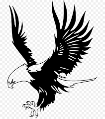 We did not find results for: Elang Botak Elang Hanya Eagles Gambar Png