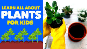 4kids entertainment (commonly known as 4kids) is a worldwide international american film and television production company. Facts About Plants For Kids Learn All About Botany Houseplants Flowers And Trees Youtube