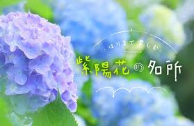 これからが見頃 アジサイが咲き誇る兵庫県のおすすめ名所 2019 絶景スポットを紹介 tanosu タノス 兵庫県はりまエリアの地域情報サイト アジサイ 絶景 名所