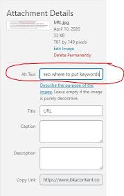 How To Use Keywords In Your Content And Where To Insert Them For Seo