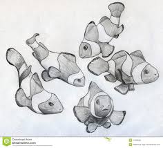 School Of Clown Fish Fish Sketch Clown Fish Sea Animals Drawings Please pause the how to draw a clownfish video after each step to draw at your own pace.